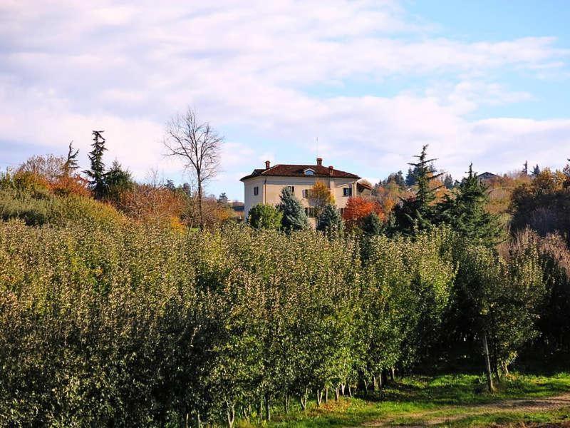 Cascina Bringin Apartment Mondovi Exterior photo