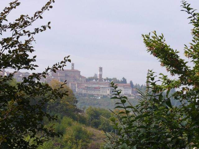 Cascina Bringin Apartment Mondovi Exterior photo